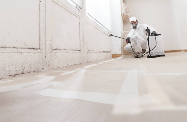 24/7 Emergency Bathroom Mold Removal experts in Glen Ridge, NJ